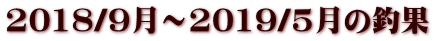 2018/9���`2019/5���̒މ�