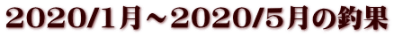 2020/1���`2020/5���̒މ�