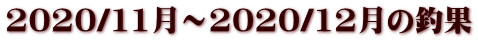 2020/11���`2020/12���̒މ�